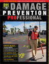 Damage Prevention Professional Spring 2012